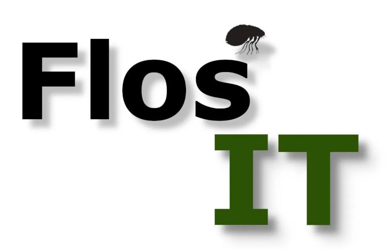 Flo's IT